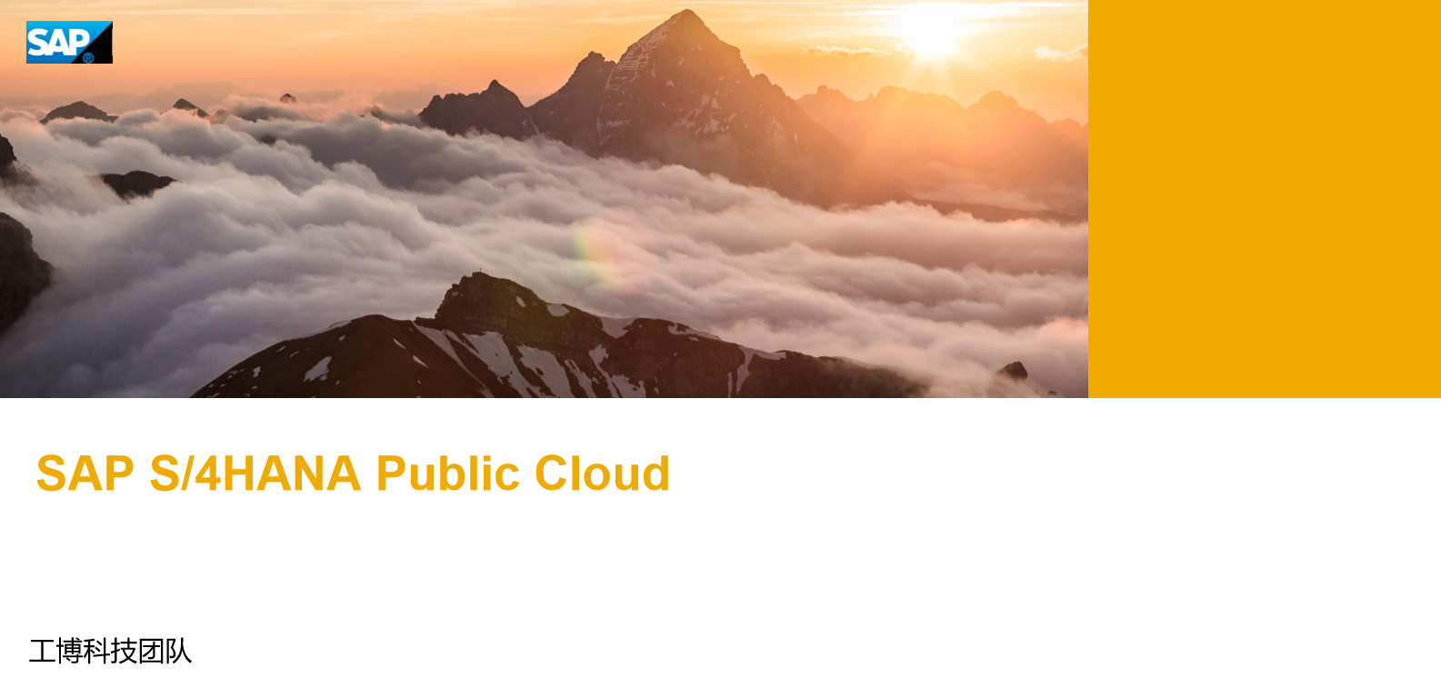 SAP S/4HANA Cloud Public Edition（SAP ERP 公有云） 是一款即裝即用的云ERP軟件，詳詢(xún)SAP系統(tǒng)供應(yīng)商工博科技。