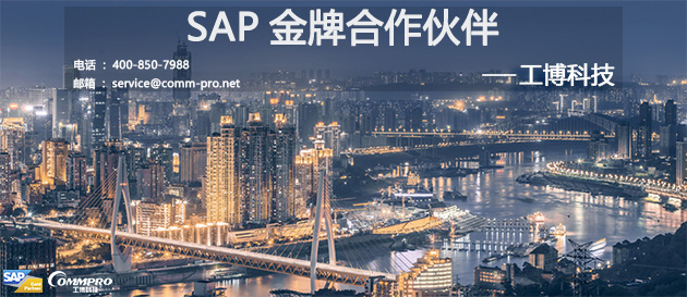 重慶有哪些SAP實(shí)施公司？