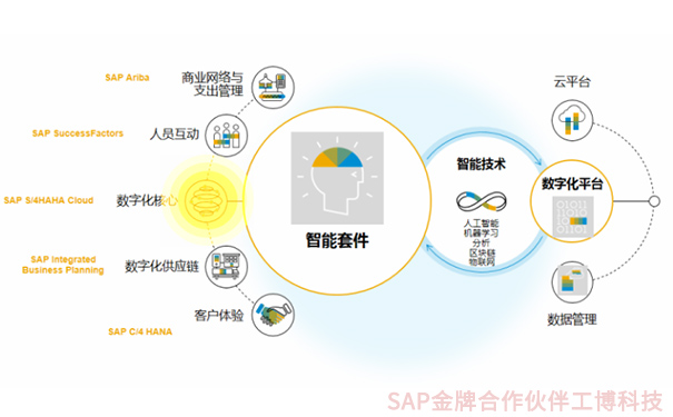 創(chuàng)業(yè)版IPO，企業(yè)上市，成長型企業(yè)融資上市，SAP智能云ERP，云ERP系統(tǒng)