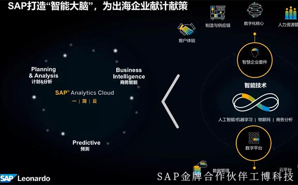 企業(yè)出海,企業(yè)數(shù)字化,SAP智慧云ERP,云ERP系統(tǒng),SAP云平臺