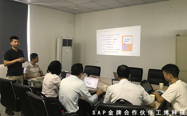 SAP B1企業(yè)管理軟件，SAP ERP項(xiàng)目,中小企業(yè)的信息化方案,SAP Business One系,SAP ERP管理軟件