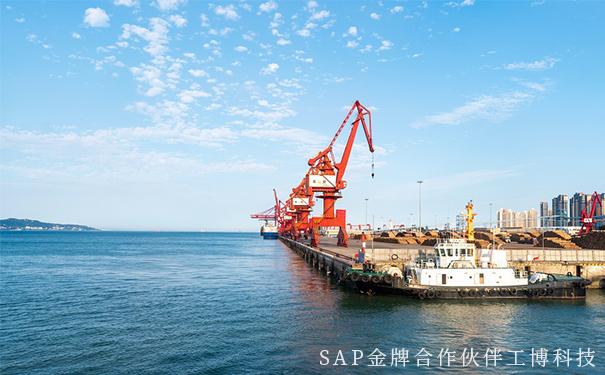 企業(yè)出海,企業(yè)數(shù)字化,SAP智慧云ERP,云ERP系統(tǒng),SAP云平臺