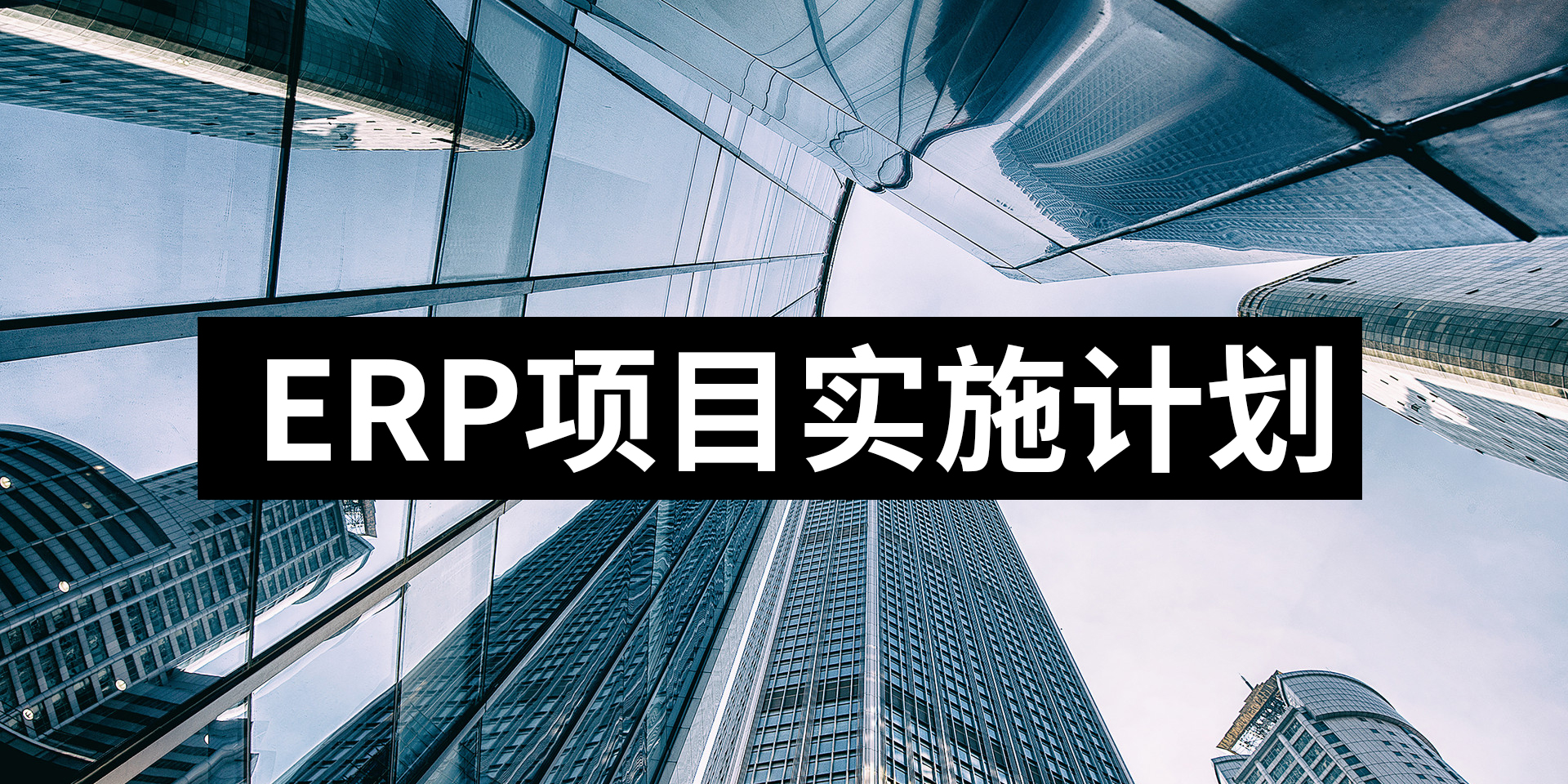 ERP實(shí)施項(xiàng)目計(jì)劃指南