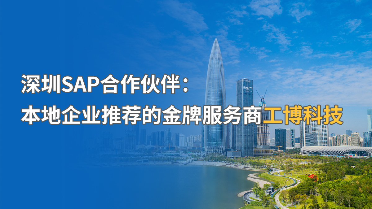 深圳SAP實施公司