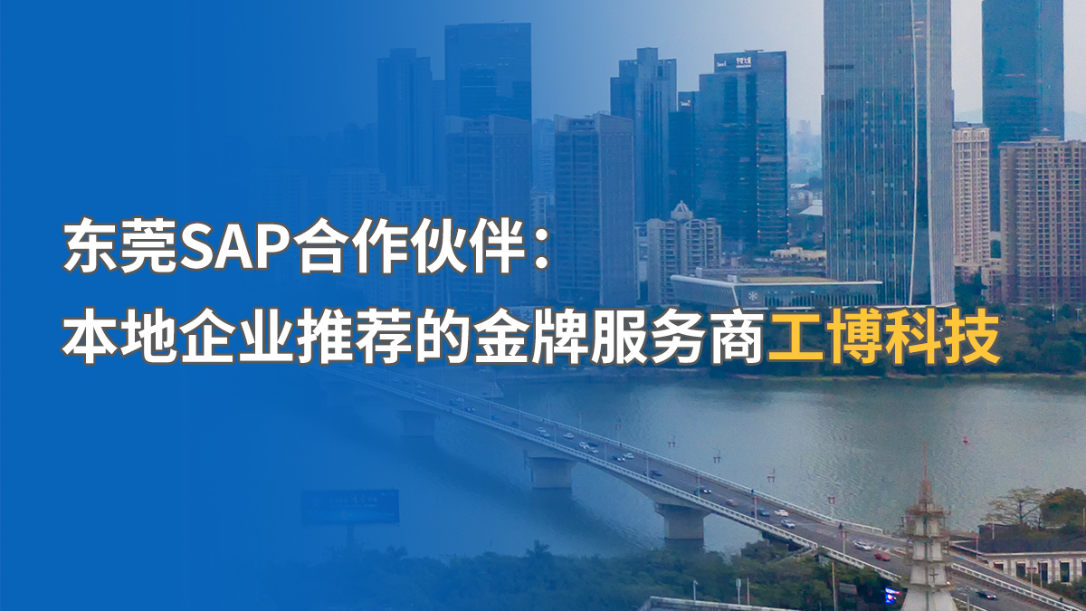 東莞SAP本地化服務(wù)商推薦，哪家更專業(yè)？